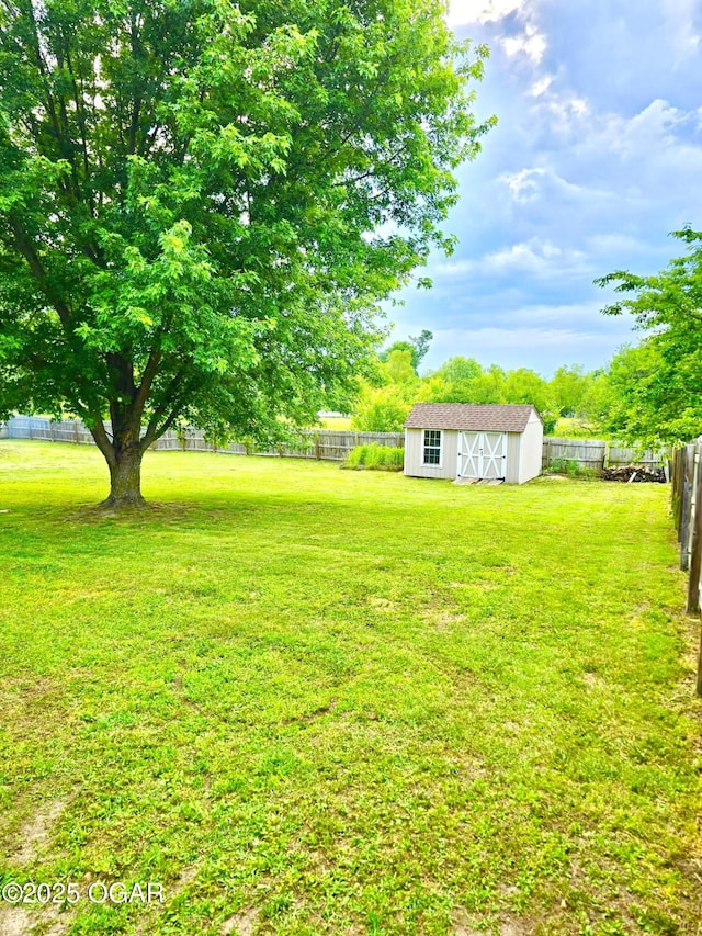 9511 County Lane 191, Carthage, MO 64836 - view of yard