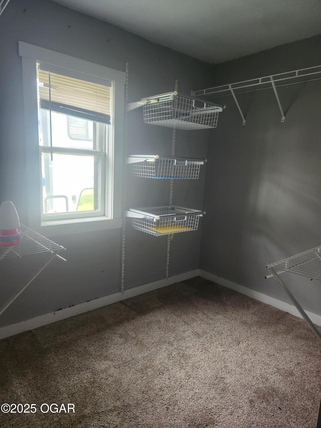 12078 Cedar Rd, Carthage, MO 64836 - spacious closet featuring carpet