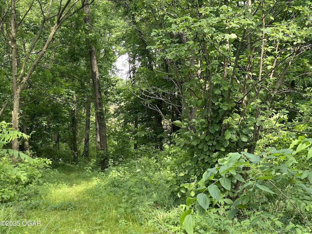 11110 Mulberry Rd, Neosho, MO 64850