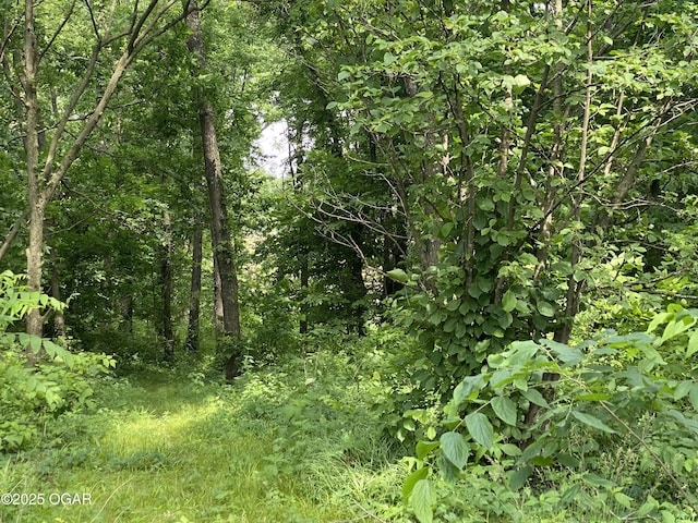 11110 Mulberry Rd, Neosho, MO 64850