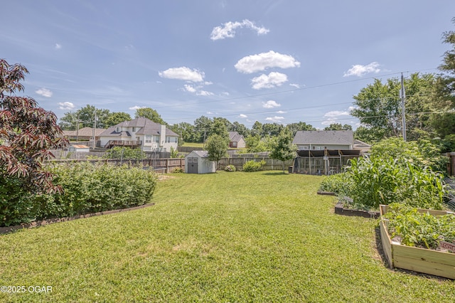 408 W Walton Ave, Carl Junction, MO 64834 - view of yard with a garden