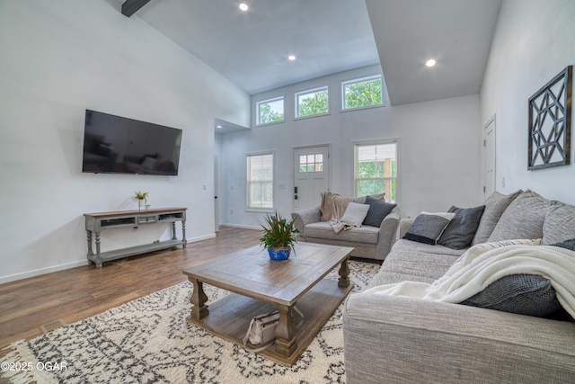 2010 Cherry St, Seneca, MO 64865 - living area with wood finished floors, high vaulted ceiling, recessed lighting, and baseboards