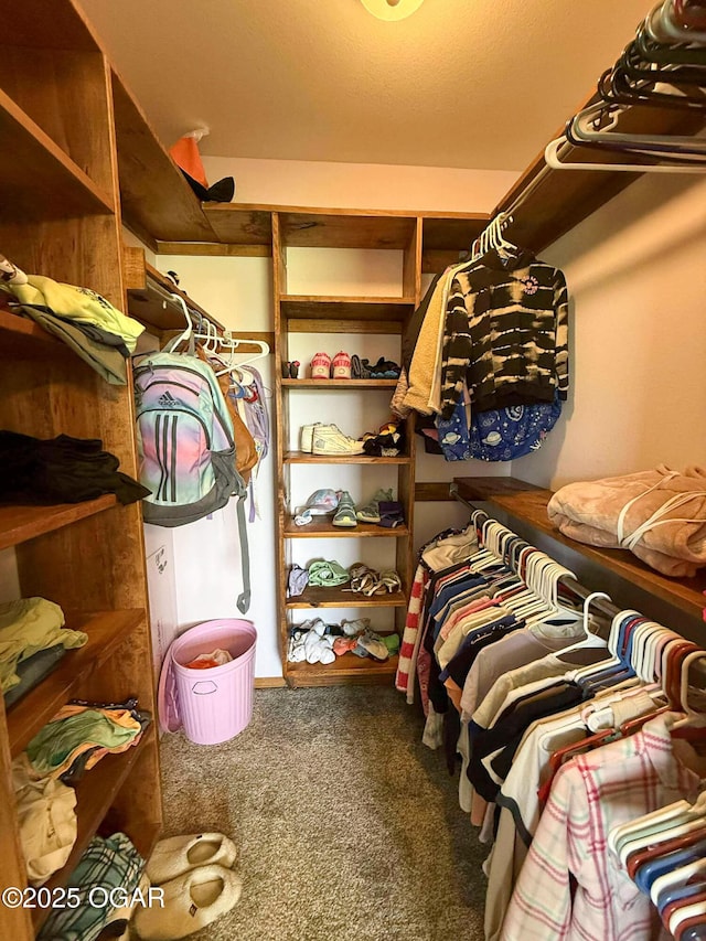201 Canary Ln, Commerce, OK 74339 - walk in closet with carpet flooring