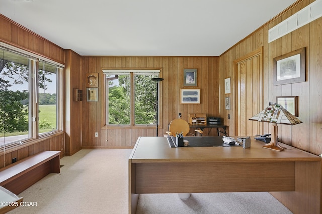 13495 Dogwood Rd, Carthage, MO 64836 - carpeted home office featuring healthy amount of natural light and wood walls