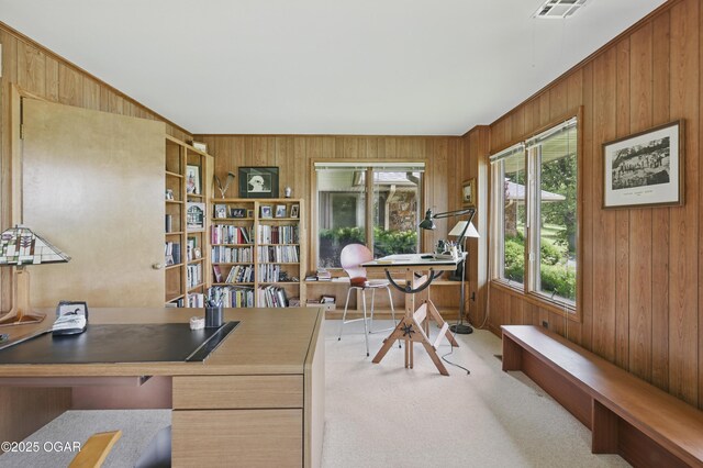 13495 Dogwood Rd, Carthage, MO 64836 - home office with wood walls, plenty of natural light, and light carpet