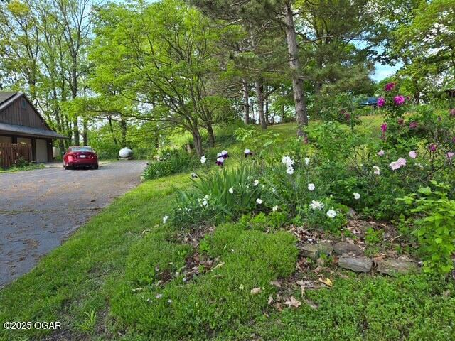 13495 Dogwood Rd, Carthage, MO 64836 - photo 4