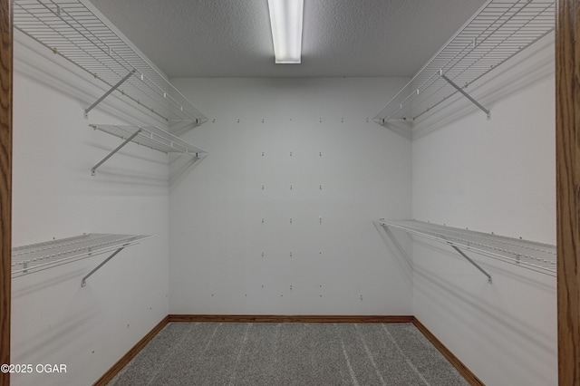 1330 Stoneledge Ln, Neosho, MO 64850 - walk in closet with carpet flooring