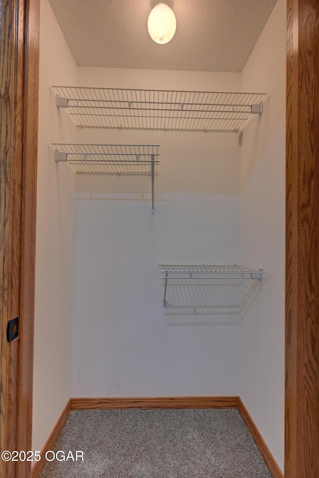 1330 Stoneledge Ln, Neosho, MO 64850 - walk in closet featuring carpet floors