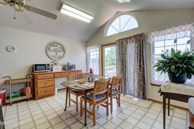 16050 Alford Ln, Diamond, MO 64840 - dining space with lofted ceiling and a ceiling fan