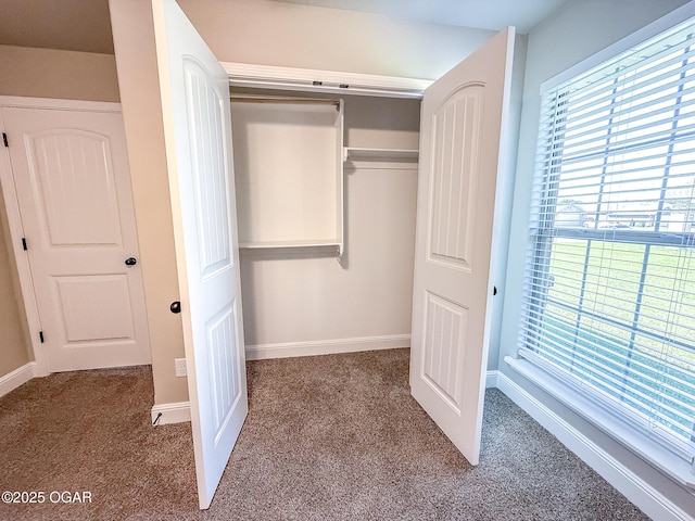 815 Delaney Dr, Carl Junction, MO 64834 - view of closet