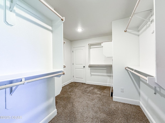 815 Delaney Dr, Carl Junction, MO 64834 - spacious closet featuring dark carpet