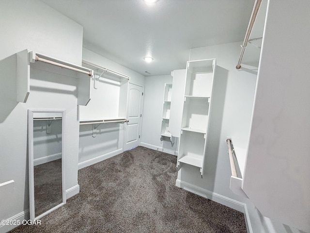 815 Delaney Dr, Carl Junction, MO 64834 - walk in closet featuring carpet floors