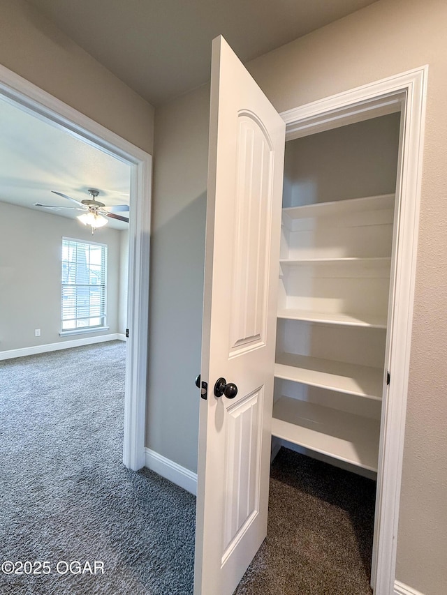 815 Delaney Dr, Carl Junction, MO 64834 - view of closet
