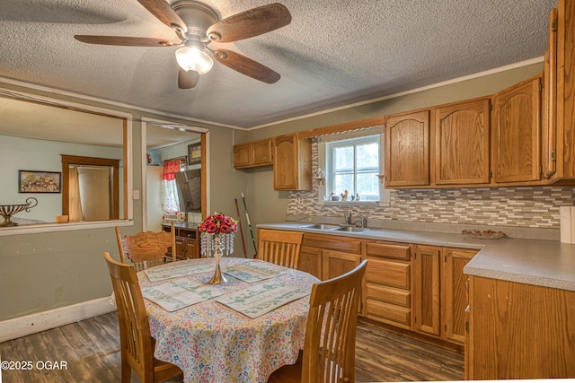 17279 Jackpine Rd, Carthage, MO 64836 - kitchen with a textured ceiling, dark wood-style floors, tasteful backsplash, a sink, and light countertops