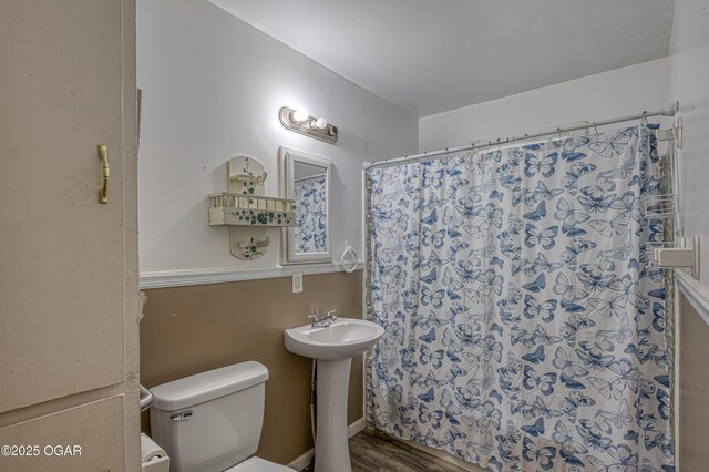 17279 Jackpine Rd, Carthage, MO 64836 - bathroom featuring toilet, wood finished floors, a shower with curtain, and a sink