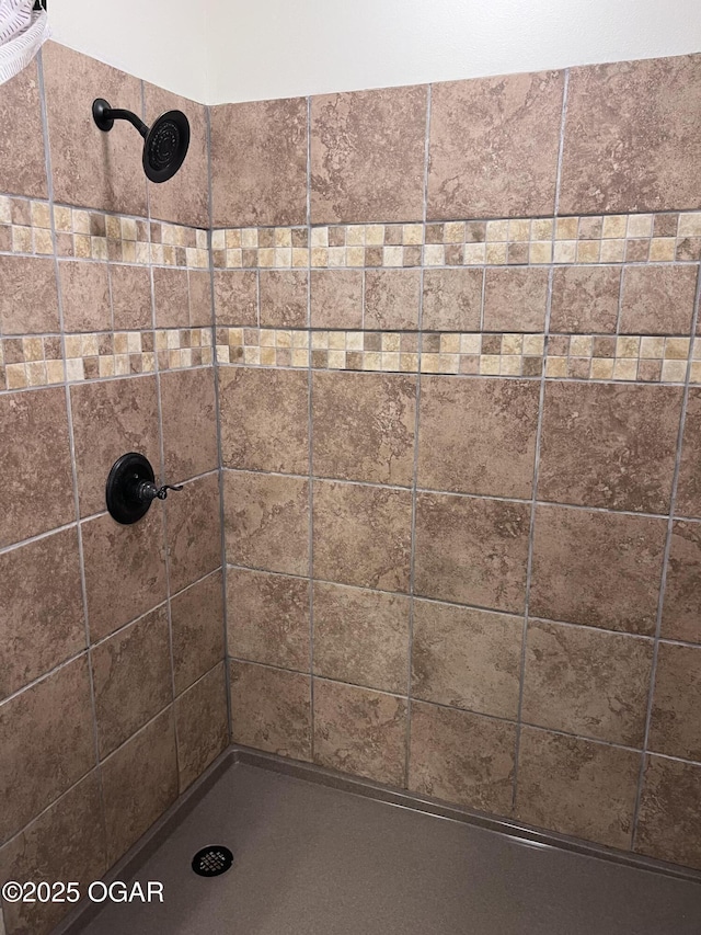 2038 W Trolley Car Ln, Carthage, MO 64836 - bathroom with tiled shower