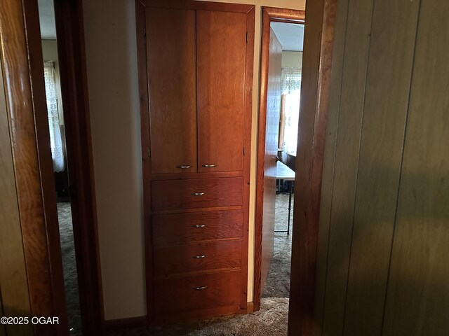 1003 Adams Ave, Seneca, MO 64865 - hallway featuring carpet flooring