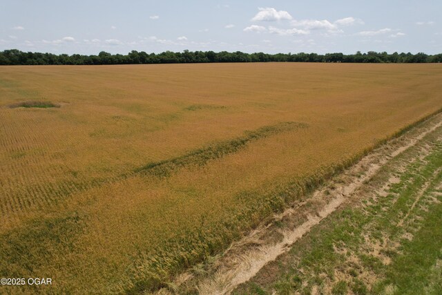 11168 State Highway 43, Webb City, MO 64870 - photo 16