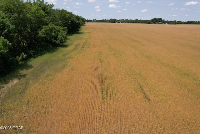 11168 State Highway 43, Webb City, MO 64870 - photo 26