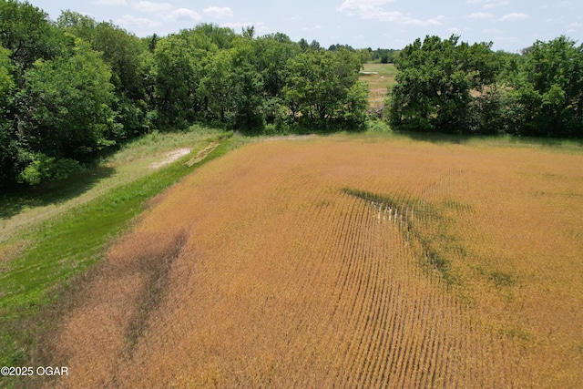 11168 State Highway 43, Webb City, MO 64870 - photo 27
