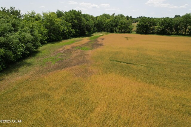 11168 State Highway 43, Webb City, MO 64870 - photo 28
