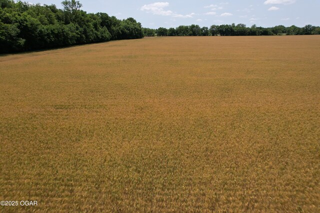 11168 State Highway 43, Webb City, MO 64870 - photo 29