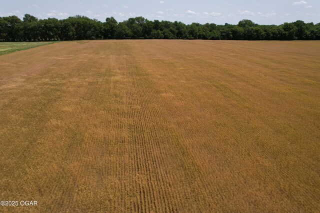 11168 State Highway 43, Webb City, MO 64870 - photo 33