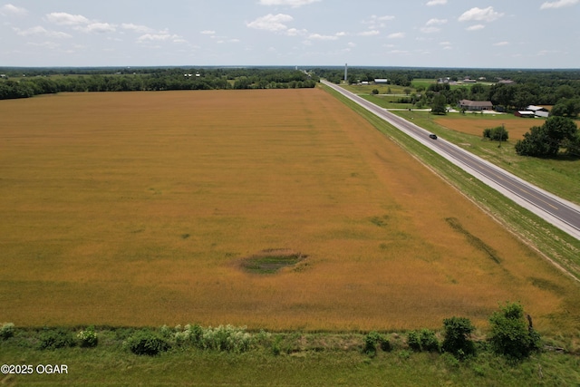 11168 State Highway 43, Webb City, MO 64870 - photo 3