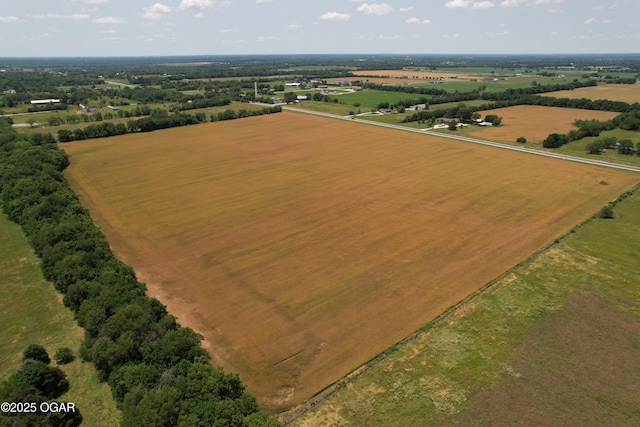 11168 State Highway 43, Webb City, MO 64870 - photo 7