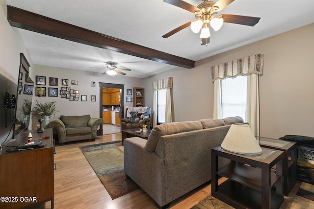 510 Freeman Rd, Neosho, MO 64850 - photo 17