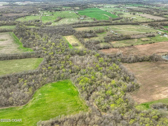 241 SE 40th Rd, Lamar, MO 64759 - aerial view of sparsely populated area