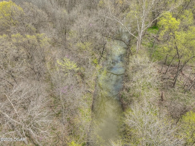 241 SE 40th Rd, Lamar, MO 64759 - view of nature