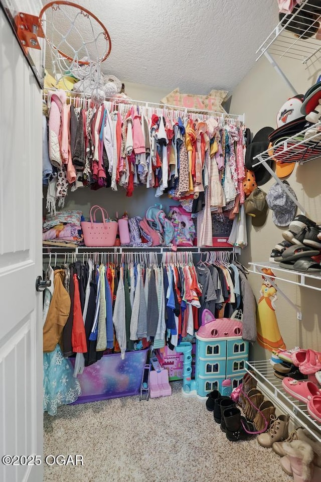 7870 County Lane 287, Carl Junction, MO 64834 - view of spacious closet