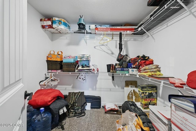 7870 County Lane 287, Carl Junction, MO 64834 - view of storage area