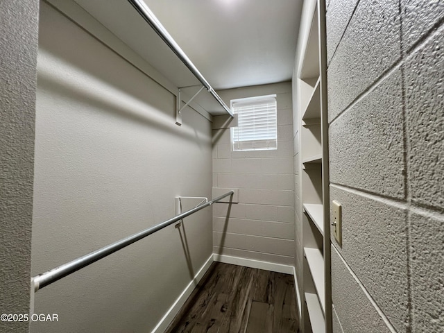 204 Webb St, Duenweg, MO 64841 - spacious closet featuring dark wood-style flooring