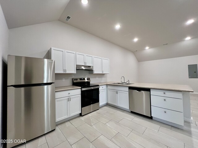 204 Webb St, Duenweg, MO 64841 - kitchen with appliances with stainless steel finishes, under cabinet range hood, vaulted ceiling, a sink, and a peninsula