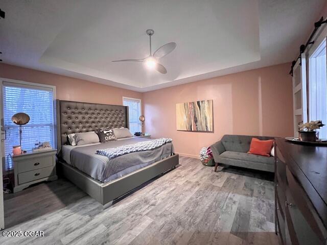 3331 Willow Ln, Joplin, MO 64801 - bedroom featuring a tray ceiling, wood finished floors, and multiple windows