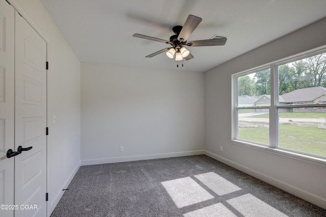 1234 Sheila Ann Dr, Carthage, MO 64836 - photo 39