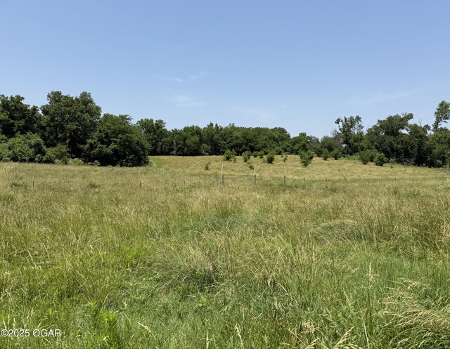 1604 E Chestnut St, Carthage, MO 64836 - photo 78