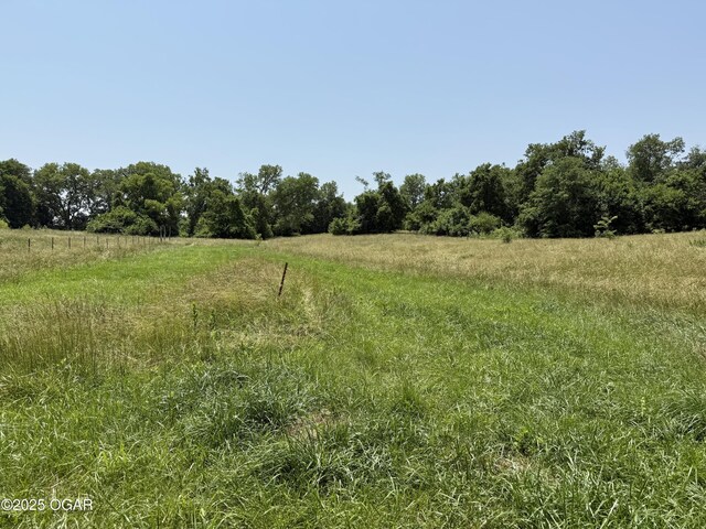 1604 E Chestnut St, Carthage, MO 64836 - photo 82