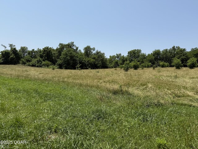 1604 E Chestnut St, Carthage, MO 64836 - photo 83