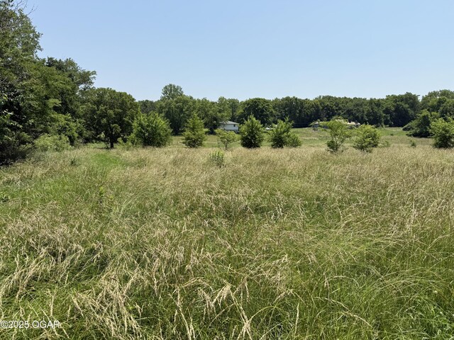 1604 E Chestnut St, Carthage, MO 64836 - photo 85