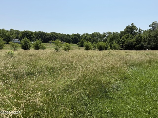 1604 E Chestnut St, Carthage, MO 64836 - photo 86
