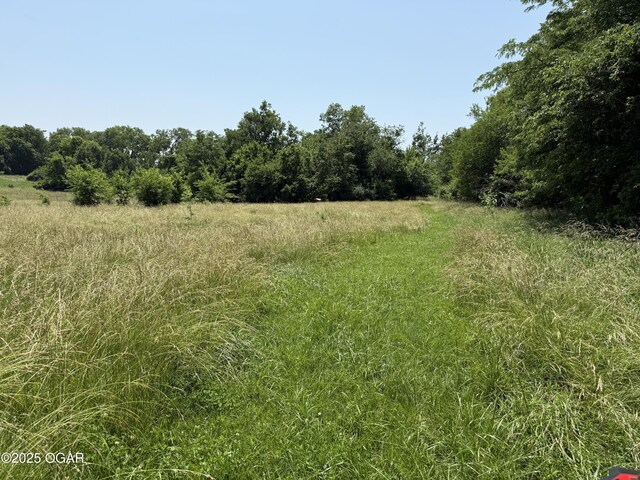 1604 E Chestnut St, Carthage, MO 64836 - photo 87