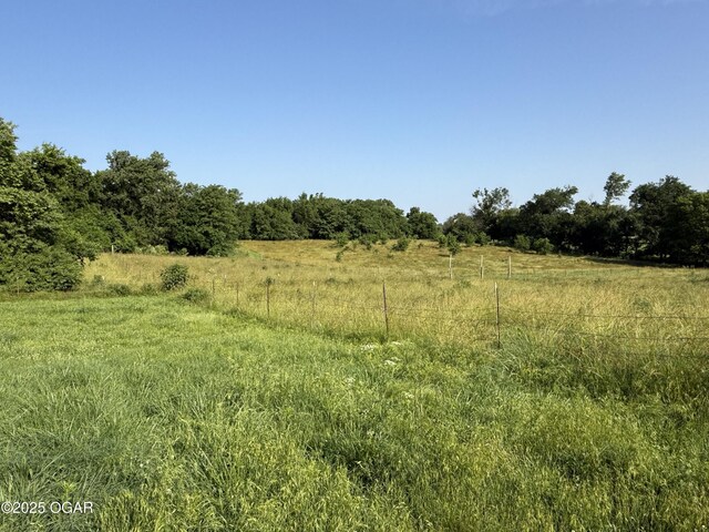 1604 E Chestnut St, Carthage, MO 64836 - photo 91