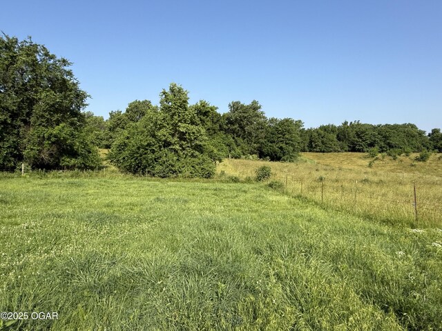 1604 E Chestnut St, Carthage, MO 64836 - photo 92