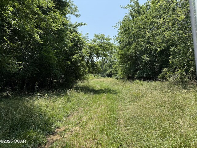 1604 E Chestnut St, Carthage, MO 64836 - photo 95