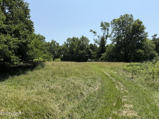 1604 E Chestnut St, Carthage, MO 64836 - photo 96