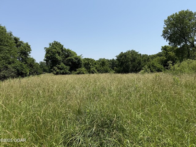 1604 E Chestnut St, Carthage, MO 64836 - photo 99