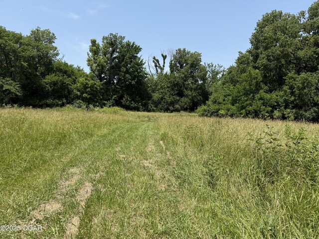 1604 E Chestnut St, Carthage, MO 64836 - photo 100